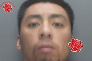 Profile image of Hon Chung