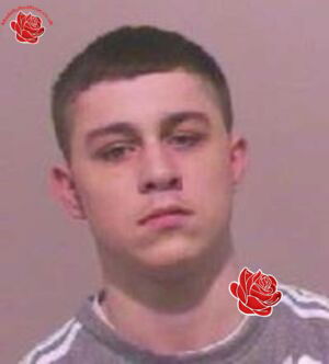 Profile image of Alex Evans