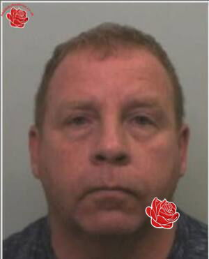 Profile image of Wayne Domeney