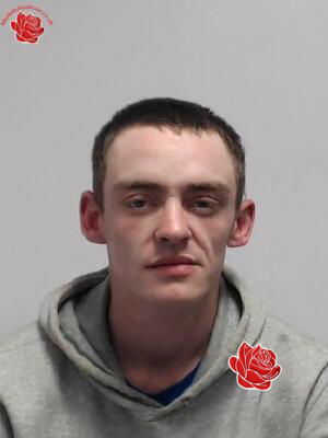 Profile image of Stephen Deegan
