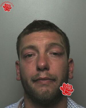 Profile image of Dominic Powner