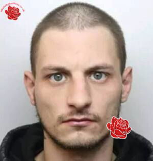 Profile image of Brett McLaughlan