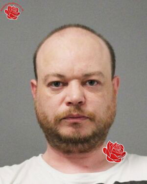 Profile image of David Sachetti