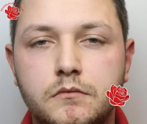 Profile image of Peter Green