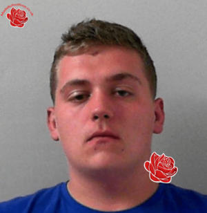 Profile image of Bradley Alford