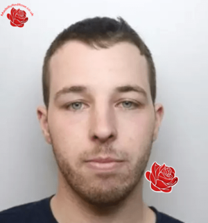 Profile image of Steven Fraser