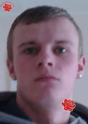 Profile image of Tony Lammie