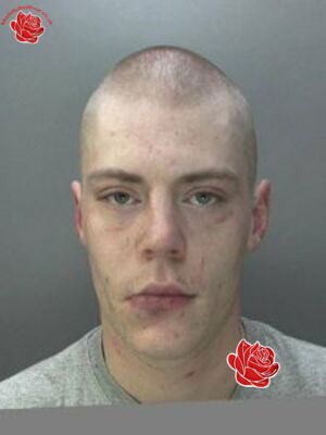 Profile image of Michael Pinder