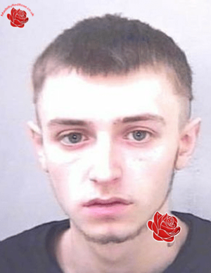 Profile image of Nathan Fox