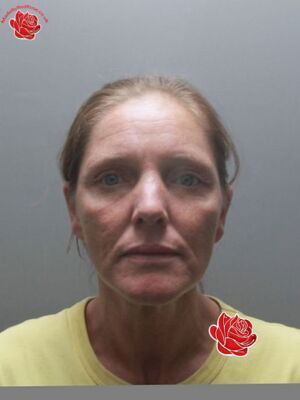 Profile image of Lisa Doolan