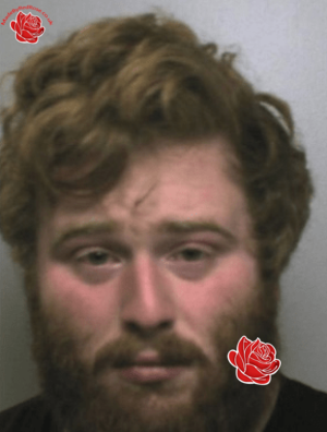 Profile image of Liam Reeves