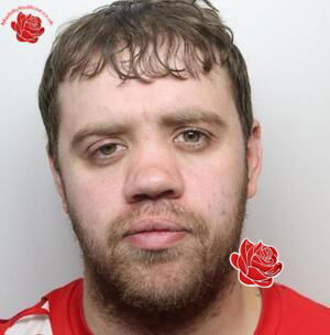 Profile image of Gavin Falcus