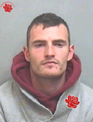 Profile image of Luke Thomas