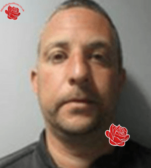 Profile image of Stephen Brown