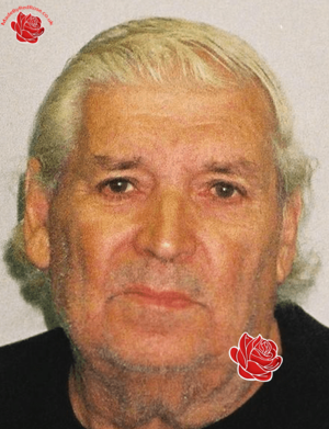 Profile image of Gordon Preece