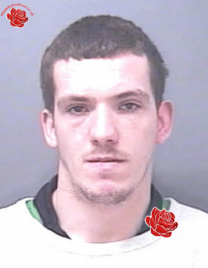 Profile image of Nigel Newton