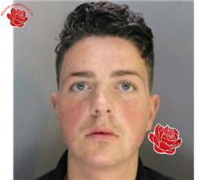 Profile image of Daniel Marshall