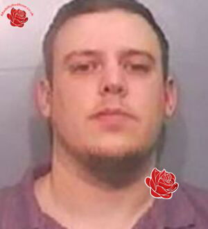 Profile image of Alastair Hodge