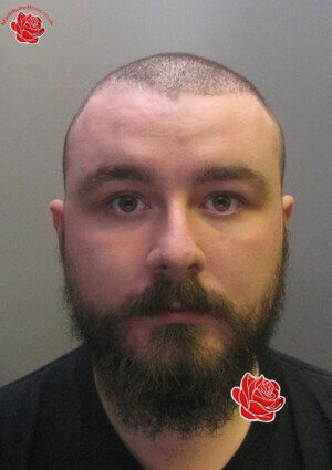 Profile image of Craig Stewart