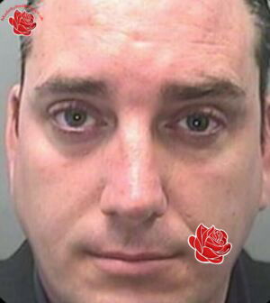 Profile image of David Williams