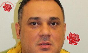 Profile image of Romelia Radu/Petre Niculescu