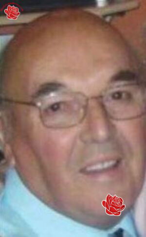 Profile image of Michael Gouldingay