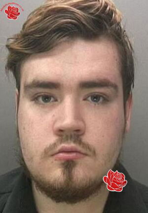 Profile image of Stefan Toole/Shauna McEvoy