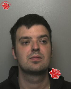 Profile image of Matthew Charlesworth
