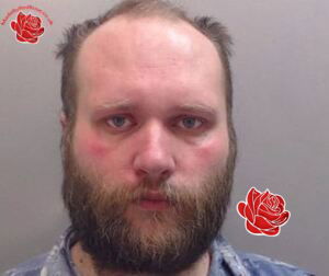 Profile image of Nicky Lloyd