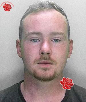Profile image of Mitchell Jones