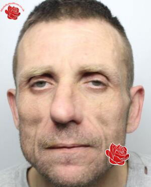 Profile image of Michael Hughes