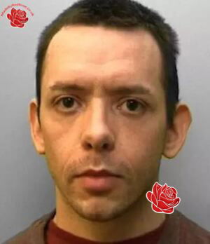 Profile image of Sean Williams