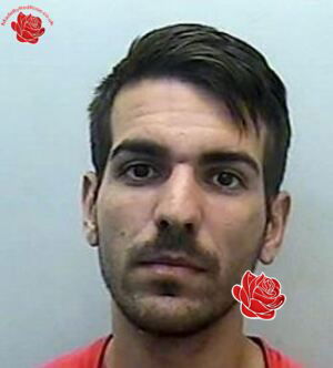 Profile image of Jose Castellano