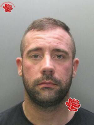 Profile image of Ryan Sweeney