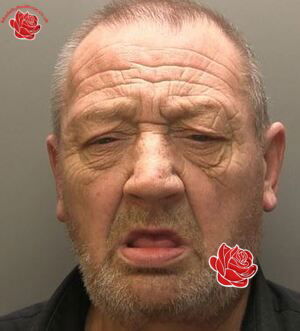 Profile image of Steven Lamond