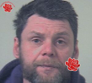 Profile image of Shane Simpson