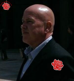 Profile image of Glynn Davies