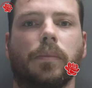 Profile image of Alan Connolly