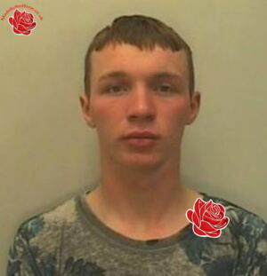 Profile image of Dean Whittaker