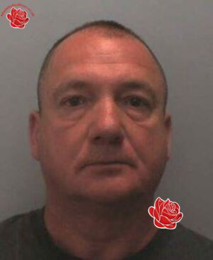 Profile image of David Lowe
