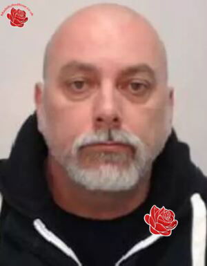 Profile image of Ian Cairns