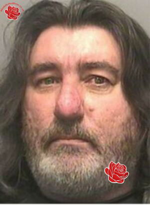 Profile image of Simon Mills