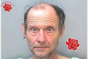 Profile image of Peter Wells