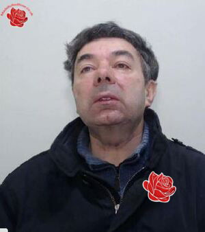 Profile image of Stephen Tauber