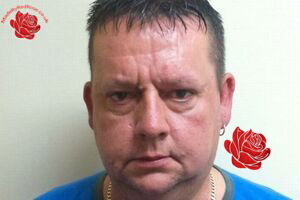 Profile image of Steven Wrigley