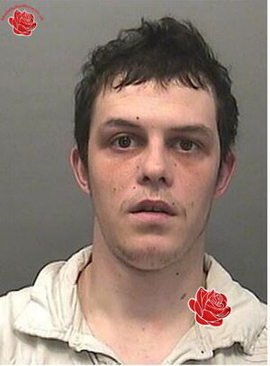 Profile image of Guy Brigdale