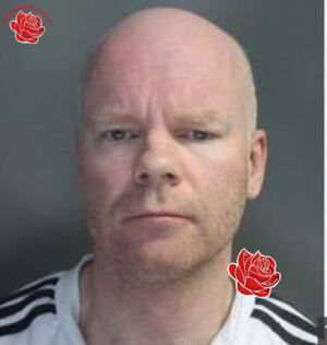 Profile image of Stephen Tippit