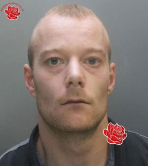 Profile image of Mark Taylor