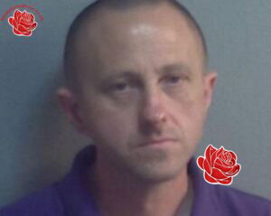 Profile image of David Pilcher