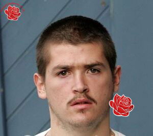 Profile image of Sean Walsh